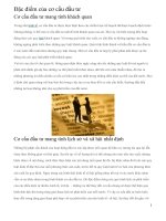 Đặc điểm của cơ cấu đầu tư