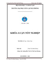 HOÀN THIỆN CÔNG tác kế TOÁN DOANH THU, CHI PHÍ và xác ĐỊNH kết QUẢ KINH DOANH tại CÔNG TY TNHH GN&TM VIKO 