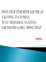 Phân tích tình hình lợi nhuận tại công ty xuất nhập khẩu Sa Giang