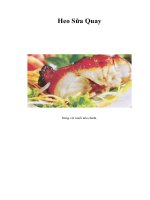 Tài liệu Heo Sữa Quay docx