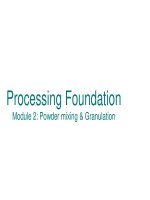 Processing Foundation Module 2: Powder mixing & Granulation