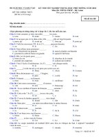 Tài liệu Đề thi chính thức kỳ thi tốt nghiệp THPT 2010 môn tiếng Pháp - Hệ 3 năm (Mã đề thi 385) ppt