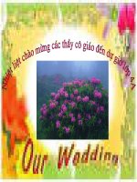 Bài giảng Bài 5: Lịch sử