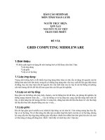 Tài liệu BÁO CÁO SEMINAR MÔN TÍNH TOÁN LƯỚI pptx