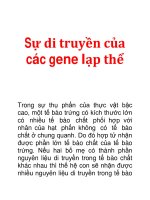 Tài liệu Sự di truyền của các gene lạp thể pptx