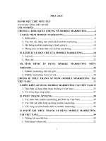 Thực trạng áp dụng mobile marketing tại việt nam và giải pháp phát triển 