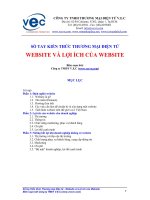 WEBSITE VÀ LỢI ÍCH CỦA WEBSITE 