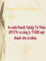 So sánh doanh nghiệp tư nhân (DNTN) và công ty TNHH một thành viên cá nhân  