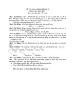 Bài soạn Đề thi HSG cấp huyện hóa 9 (2010- 2011)