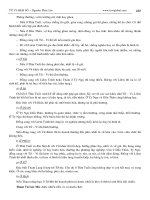 Tài liệu Tử vi hàm số - Phần 11 docx