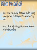 Tài liệu Bài 25: Hóa tổng hợp và quang tổng hợp pdf
