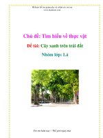 Tài liệu Chủ đề: Tìm hiểu về thực vật - Đề tài: Cây xanh trên trái đất - Nhóm lớp: Lá docx