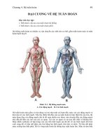 Tài liệu Đại cương về hệ tuần hoàn người pptx