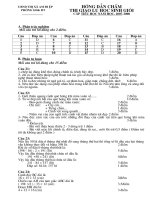 Tài liệu đề thi tiểu học chọn hsg