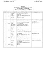 Bài giảng G.A 4 TUẦN 6 (CKTNN-KNS-BVMT)