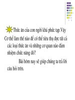 Bài 24: Tiêu hóa và cơ quan tiêu hóa