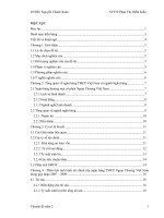 pHAN TICH TAI CHINH NH TMCP NGOAI THUONG VN TRONG GIAI DOAN 2007 2009 