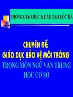 Chuyên đề GDBVMT tích hợp vào môn Ngữ văn