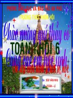 Ôn tập cuối năm toán 6