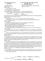 ĐỀ THI CHỌN HỌC SINH  GIỎI CẤP TỈNH NĂM HỌC 2010 – 2011                         Môn: HÓA HỌC LỚP  – THPT