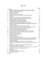 Một số giải pháp nhằm hoàn thiện công tác phân tích tài chính tại Công ty Vật tư kỹ thuật xi măng