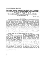 Ong ký sinh trứng bọ xít xanh vai đỏ Telenomus subitus Le (Scelionidae: Hymenoptera) và vai trò của nó trong hệ sinh thái cây đậu t-ơng vụ hè - thu 2003 tại Gia Lâm – Hà Nội