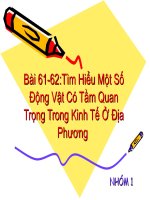 Bài 61,62