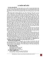 SKKN về biểu thức chứa chữ ở lớp 4