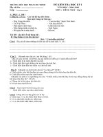 dđê kiêm tra học kỳ 1 môn tv