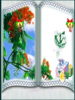 các đới khí hậu