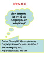 Cấu trúc rẽ nhánh