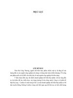 Phân tích tài chính tại Công ty cổ phần đồ hộp Hạ Long