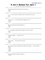 B and V Minimal Pair Quiz .doc