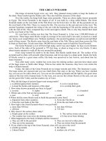 Bài tập luyện Reading