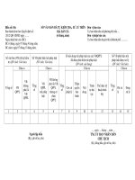 MẪU SỐ VĂN BẢN ĐÃ TỰ KIỂM TRA, XỬ LÝ 