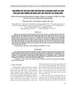 ẢNH HƯỞNG CỦA VIỆC BÓN PHÂN VIÊN NÉN HỮU CƠ KHOÁNG CHẬM TAN THEO THỜI GIAN SINH TRƯỞNG ĐẾN NĂNG SUẤT NGÔ TRÊN ĐẤT CÁT QUẢNG BÌNH