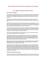 kinh tế V N dưới nhận xét của chuyên gia N N