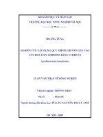 Nghiên cứu xây dựng quy trình chuyển gen vào cây hoa lily sorbone nhờ vi khuẩn agrobacterium tumefaciens 