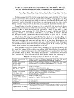  Ô nhiễm không khí do giao thông đường phố ở Hà Nội 