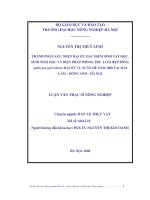 Luận văn thành phần sâu, nhện hại ớt; đặc điểm sinh vật học, sinh thái học và biện pháp phòng trừ loài rệp bông aphis gossypii glov 