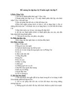 Đề cương ôn tập học kỳ II môn Ngữ Văn