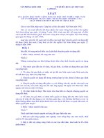 Luật Sửa đổi, bổ sung một số điều của Luật thuế chuyển quyền sử dụng đất