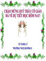 diện tích hình tròn