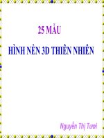 25 MẪU HÌNH NỀN THIÊN NHIÊN