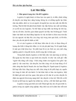 Phương hương và giải pháp nhằm phát triển hoạt động kinh doanh của công ty