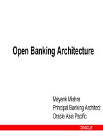 OPEN BANKING ARCHITECTURE
