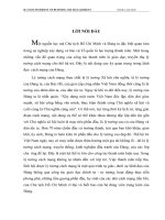 LÝ TƯỞNG CÁCH MẠNG TRONG THỜI KỲ CÔNG NGHIỆP HOÁ, HIỆN ĐẠI HOÁ