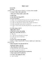 ĐỊNH HƯỚNG VÀ GIẢI PHÁP NHẰM THÚC ĐẨY ĐẦU TƯ PHÁT TRIỂN KCN Ở HÀ NỘI