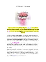 Học Tiếng Anh với bí mật cuộc sống 5