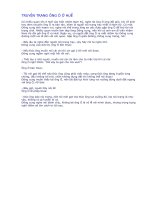 TRUYỆN TRẠNG ÔNG Ó Ở HUẾ